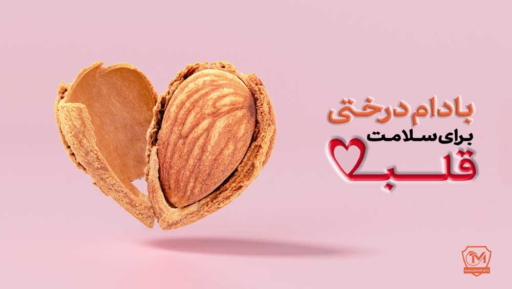 فواید بادام برای قلب وبیماران قلبی + مقدار مصرف مجاز روزانه