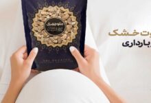 توت خشک در بارداری