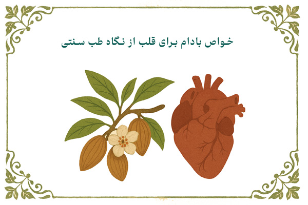 خواص-بادام-برای-قلب-در-طب-سنتی