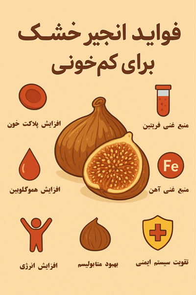 فواید-انجیر-خشک-برای-کم-خونی