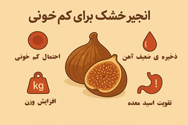 مضرات-لنجیر-خشک-برای-کمخونی