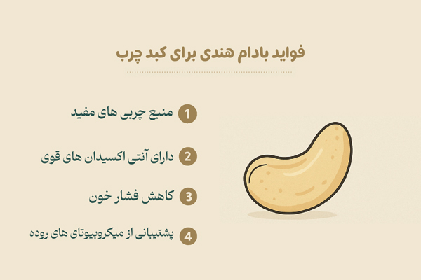 فواید بادام هندی برای کبد چرب