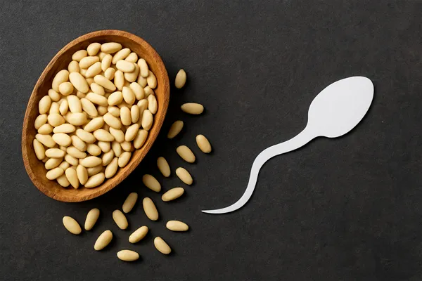 خواص چلغوز برای اسپرم