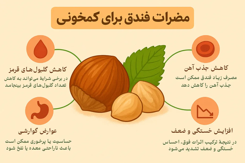 مضرات فندق برای کمخونی