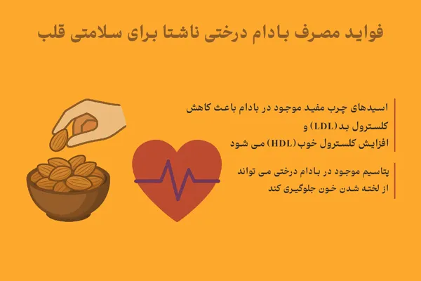 فواید-مصرف-بادام-درختی-ناشتا-برای-قلب