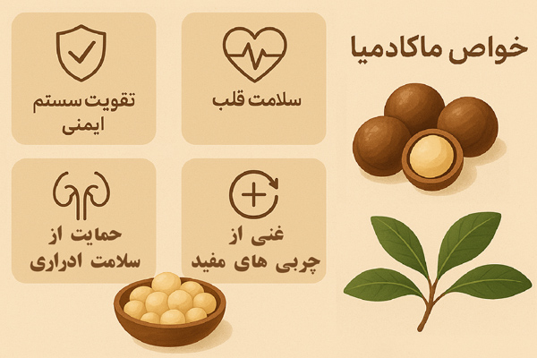 خواص-ماکادمیا