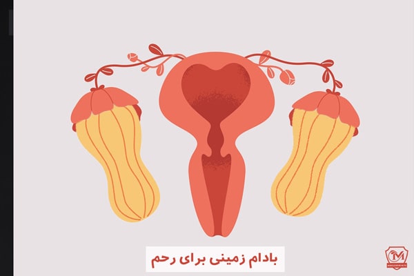 بادام زمینی برای رحم