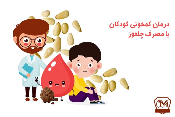 درمان کمخونی کودکان با مصرف چلغوز