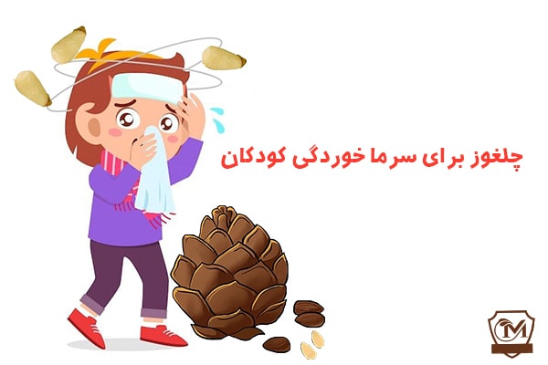 چلغوز برای سرما خوردگی کودکان