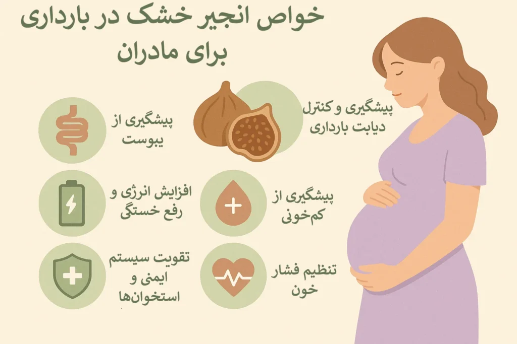 اینفوگرافیک خواص انجیر خشک در بارداری برای مادرن
