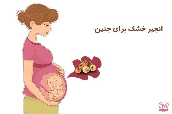 انجیر خشک برای جنین