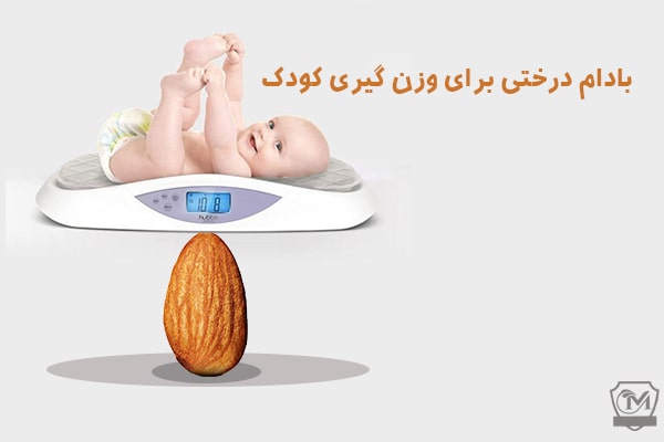 بادام درختی برای وزن گیری کودک