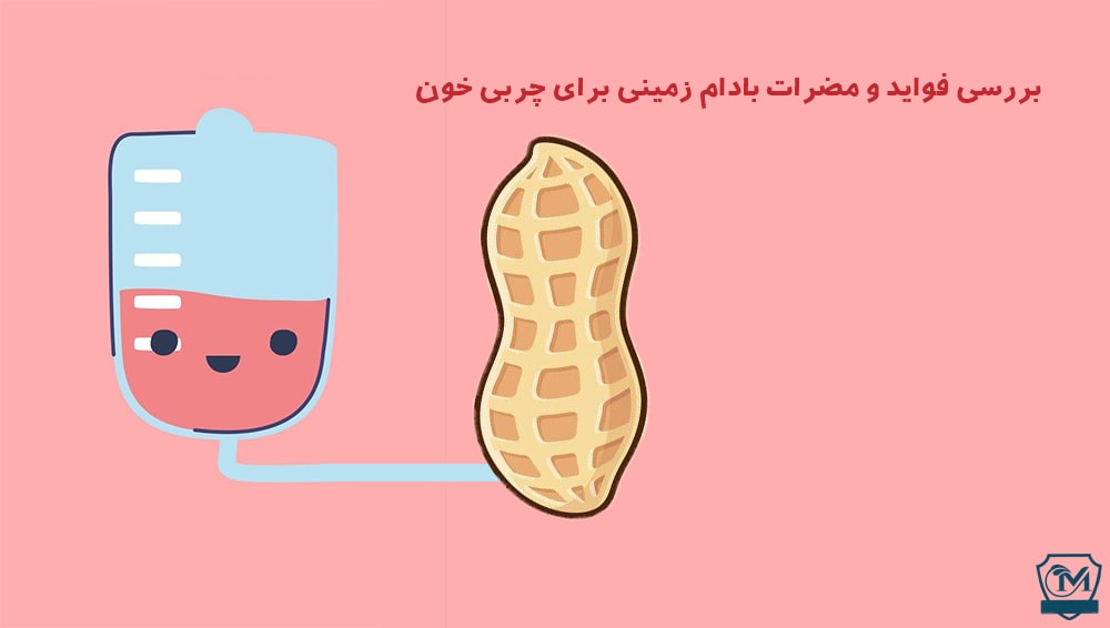 بادام زمینی برای چربی خون