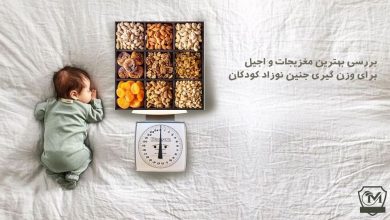 بهترین آجیل و مغزجات برای وزن گیری نوزاد