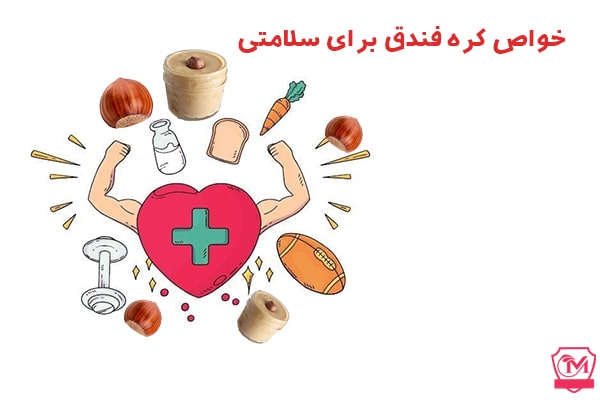 خواص کره فندق برای سلامتی