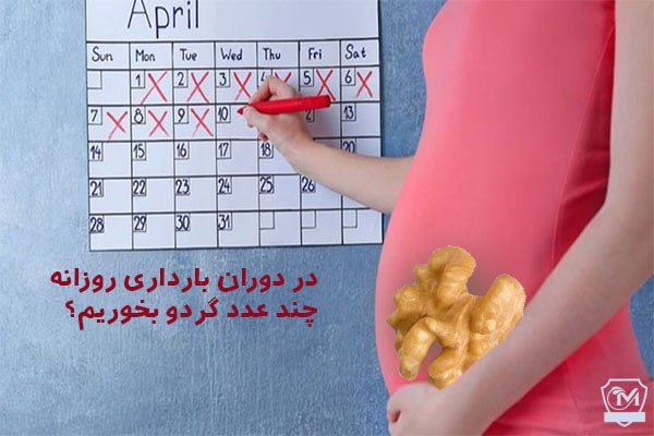 در بارداری روزانه چند عدد گردو بخوریم