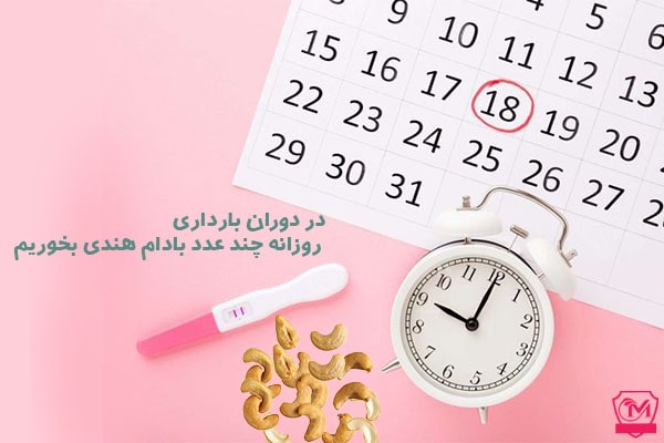 در دوران بارداری روزانه چند عدد بادام هندی بخوریم