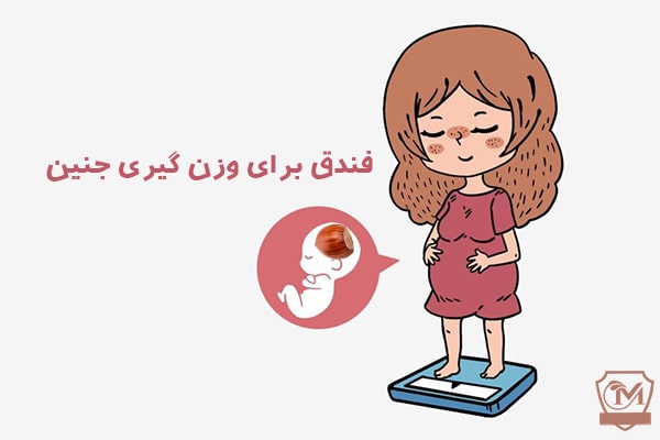 فندق بهترین آجیل برای وزن گیری جنین