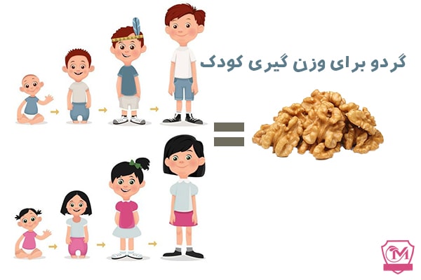 گردو برای وزن گیری کودک