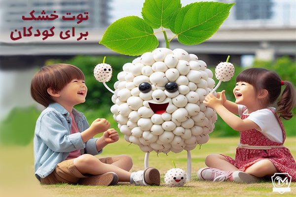 توت خشک برای کودکان