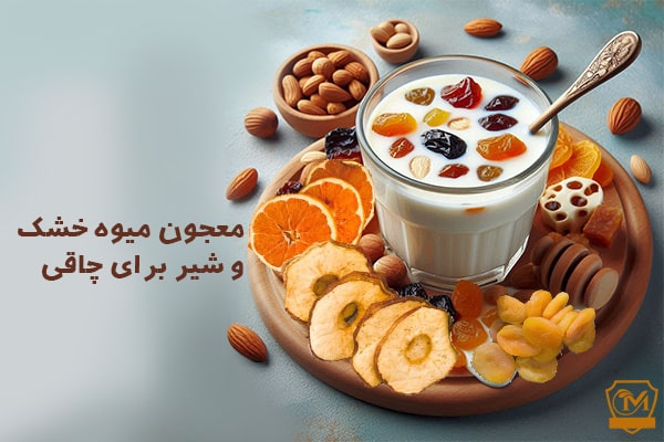 معجون میوه خشک و شیر برای چاقی