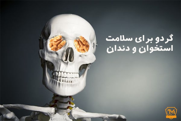 گردو برای سلامت استخوان و دندان