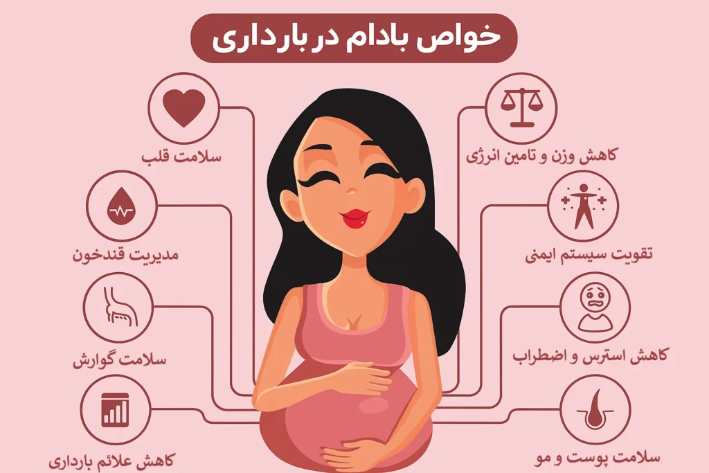 اینفوگرافیک خواص بادام در بارداری