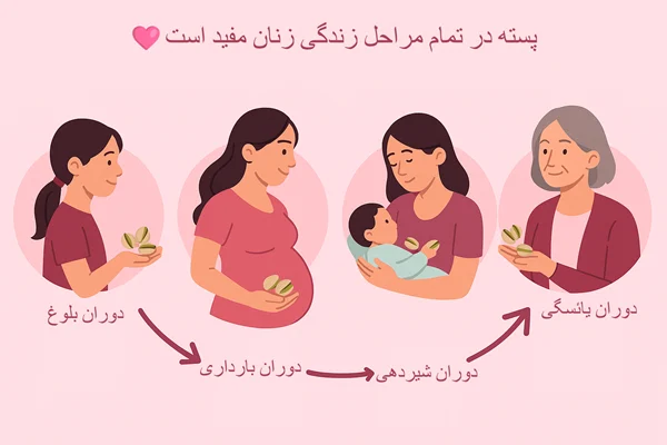 خواص پسته برای زنان در تمامی مراحل طول زندگی است.