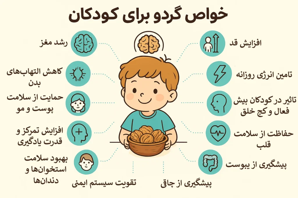 اینفوگرافیک خواص گردو برای کودکان