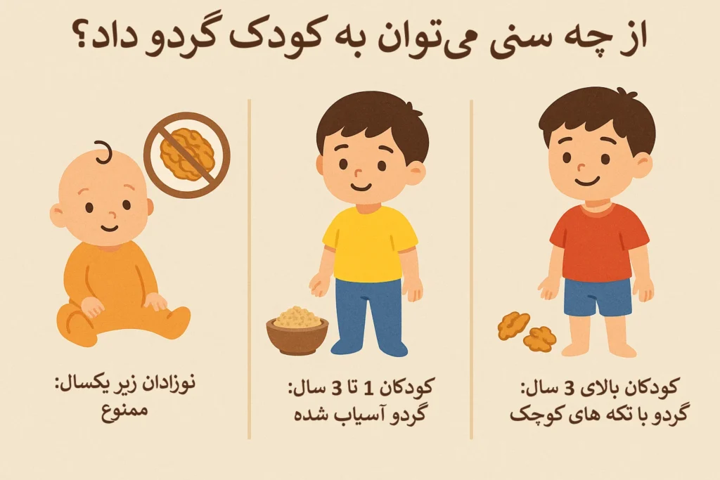 اینفوگرافیک مصرف گردو در سنین مختلف.