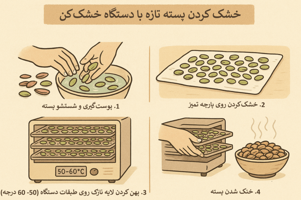 اینفوگرافیک خشک کردن پسته تازه با دستگاه خشککن