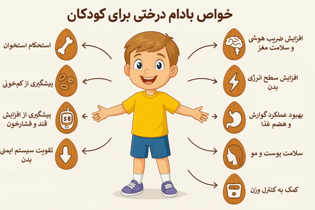 اینفوگرافیک خواص بادام درختی برای کودکان