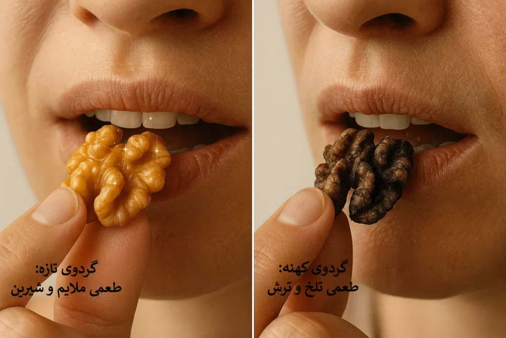 تشخیص گردوی تازه از کهنه-مزه کردن برای تشخیص