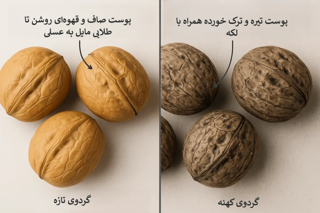 تشخیص گردوی تازه از کهنه-بررسی ظاهر و رنگ پوست گردو