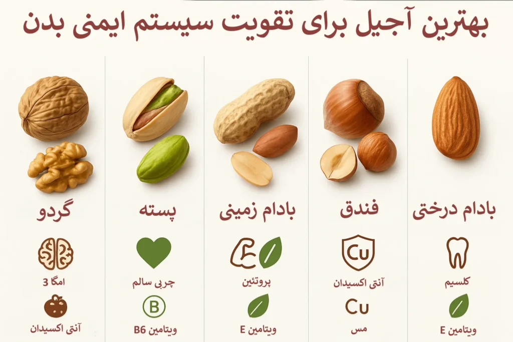 اینفوگرافیک بهترین آجیل برای تقویت سیستم ایمنی بدن