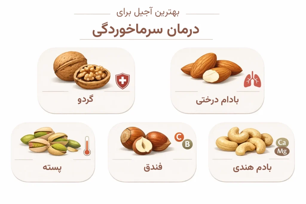 اینفوگرافیک بهترین آجیل برای سرماخوردگی