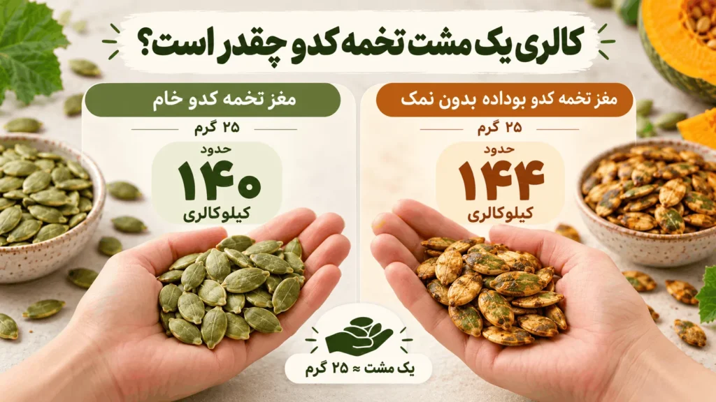مقایسه دو مشت ۲۵ گرمی مغز تخمه کدو خام و بوداده بدون نمک با کالری ۱۴۰ و ۱۴۴ کیلوکالری