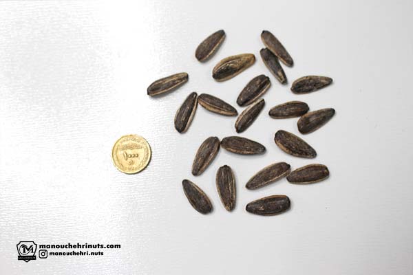 خرید تخمه دور سفید