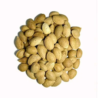 بادام-سنگی-ایرانی