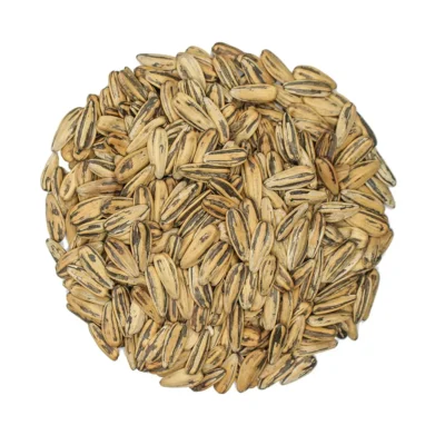 تخمه-آفتابگردان-رژیمی