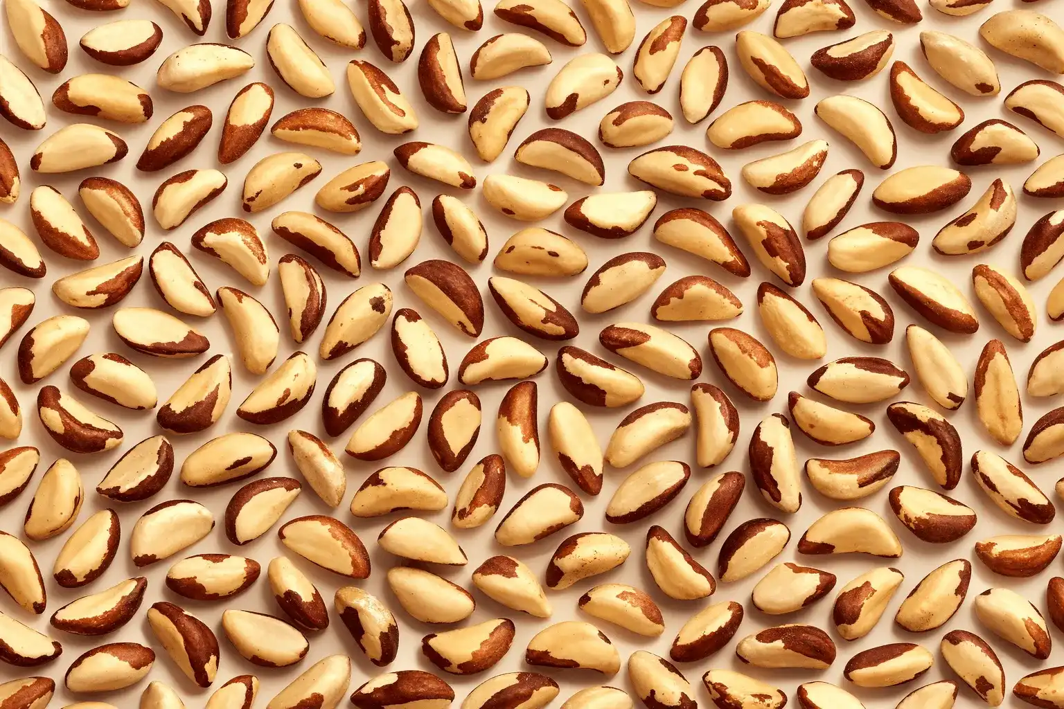 خرید بادام برزیلی اینترنتی