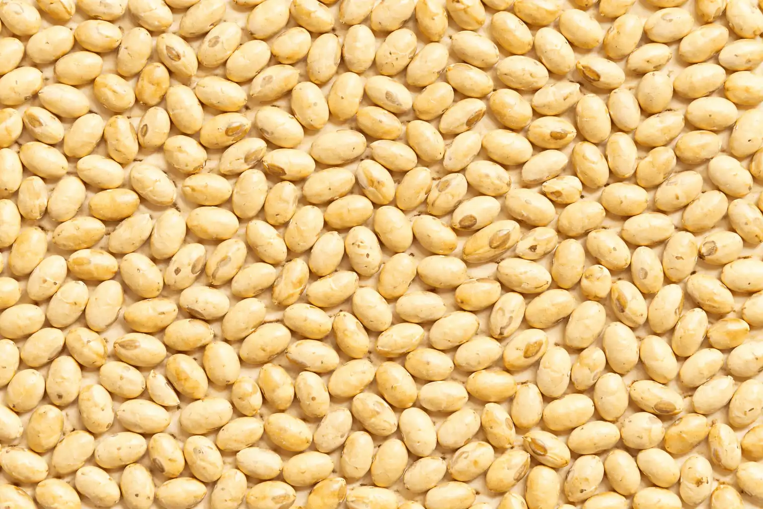 خرید سویا آجیلی