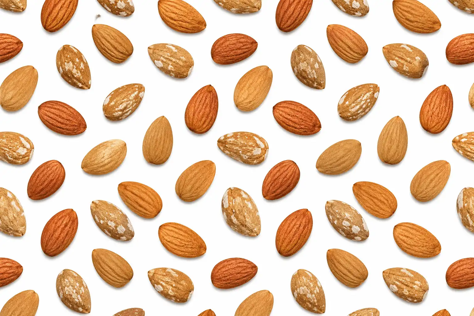 خرید انواع بادام درختی