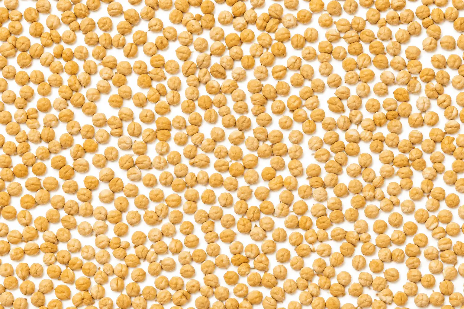 خرید انواع نخود