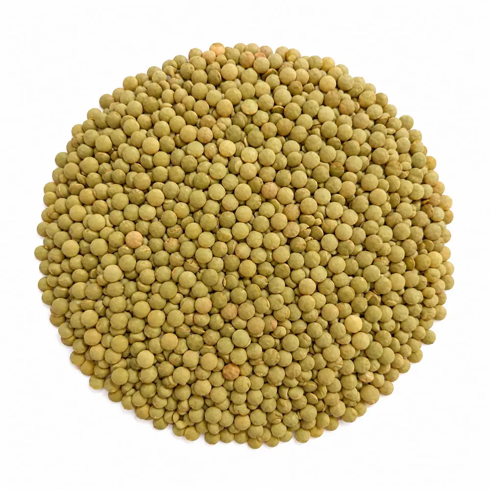 lentils lentils
