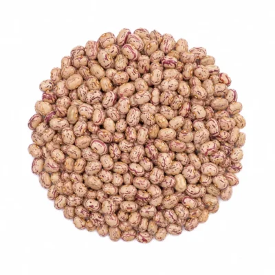 pinto-beans
