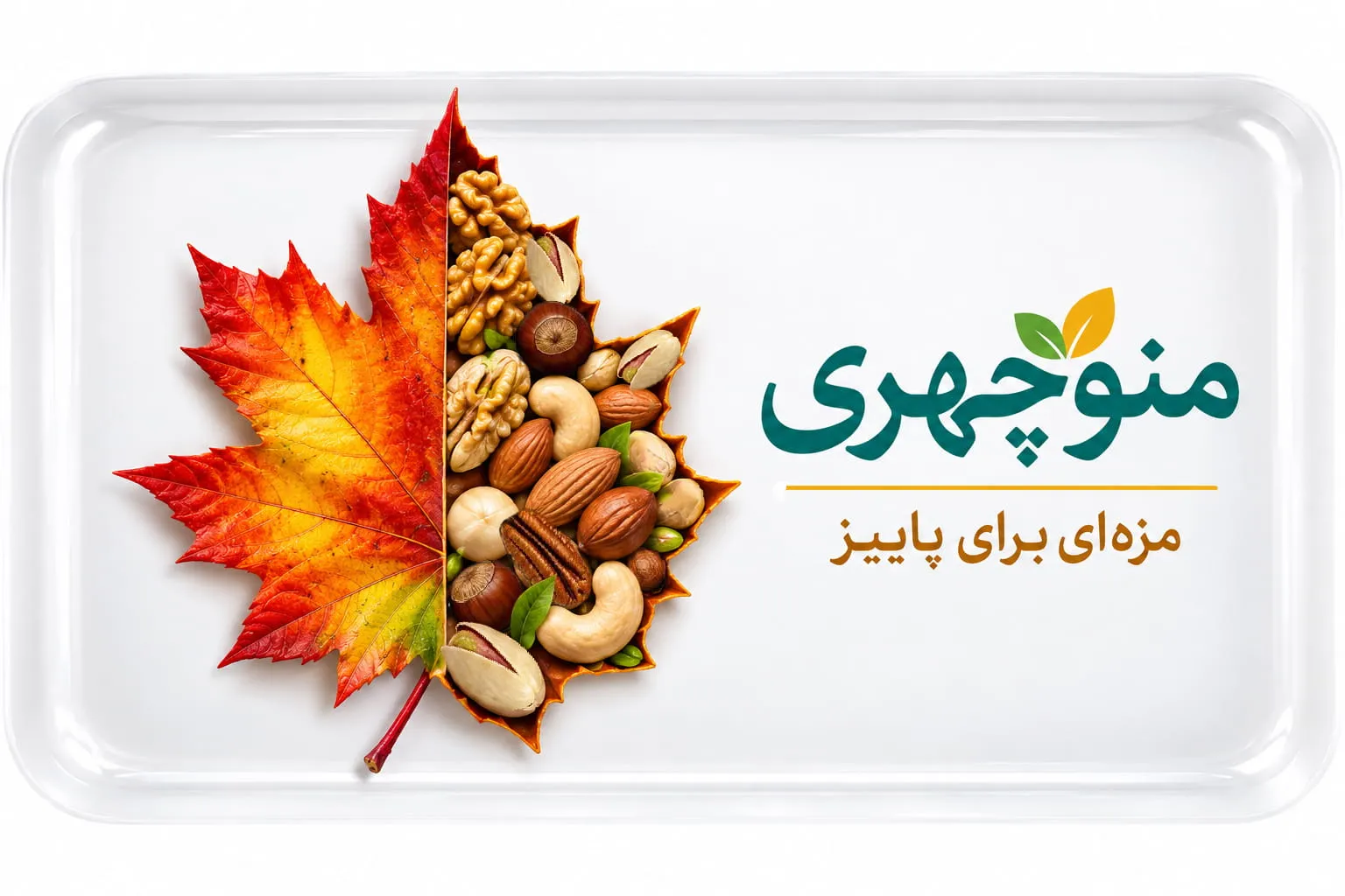 بنر-اصلی (2)